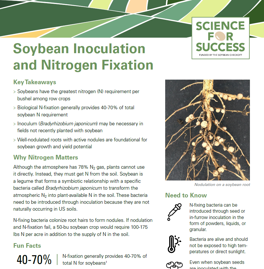 soybean innoculation and nitrogen fixation.png